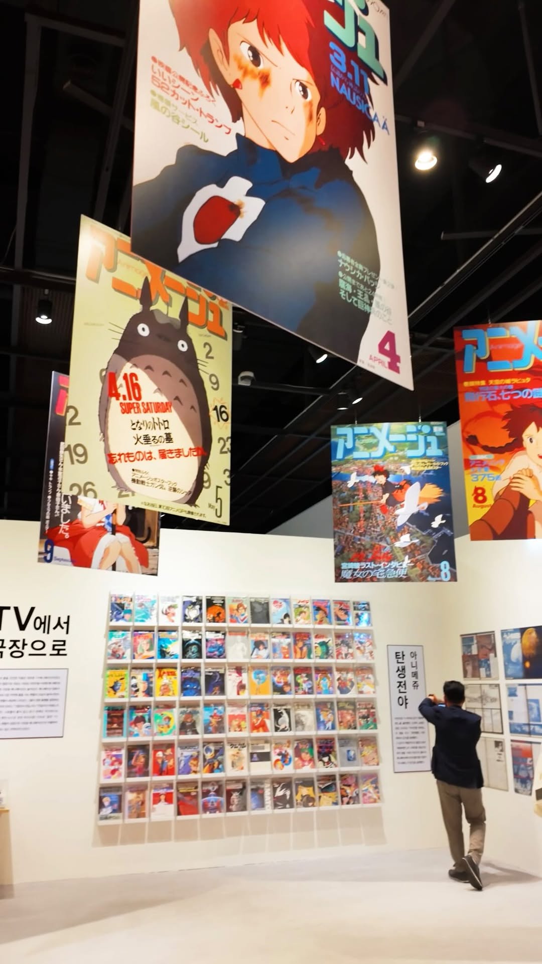 Ghibli Animation Studio History Displayed