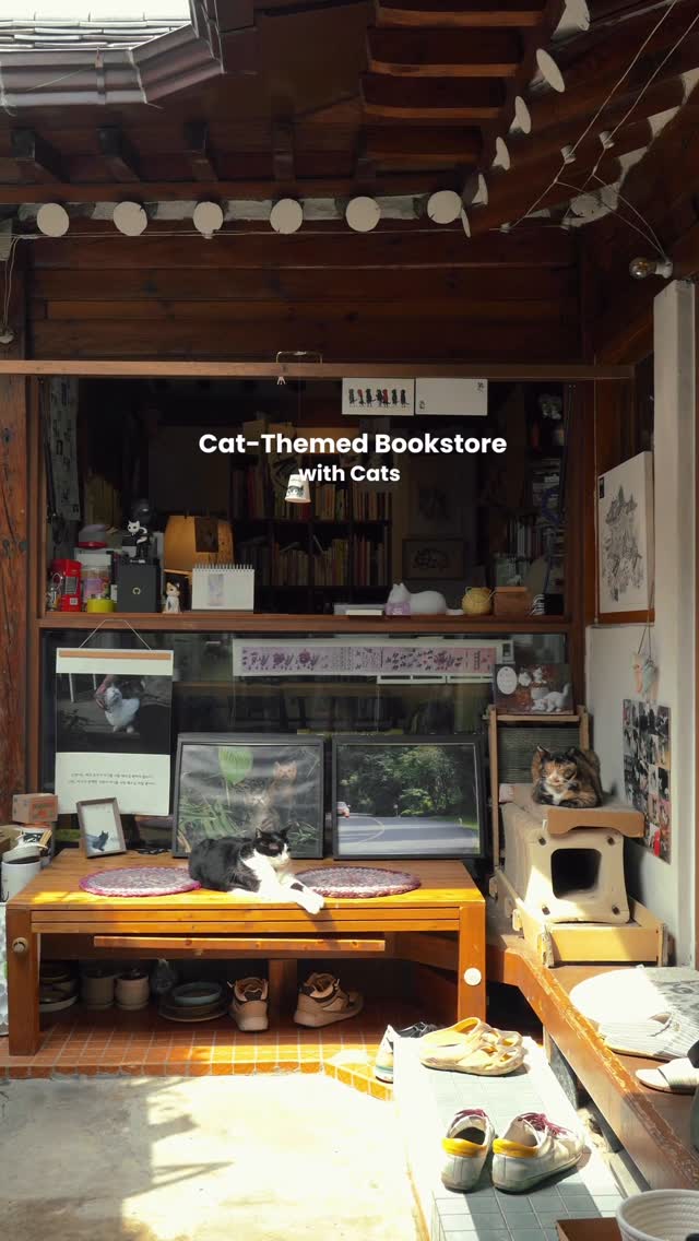 Cat Cafe and Bookstore in Hanok House