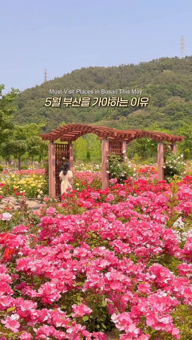 5 May Destinations in Busan