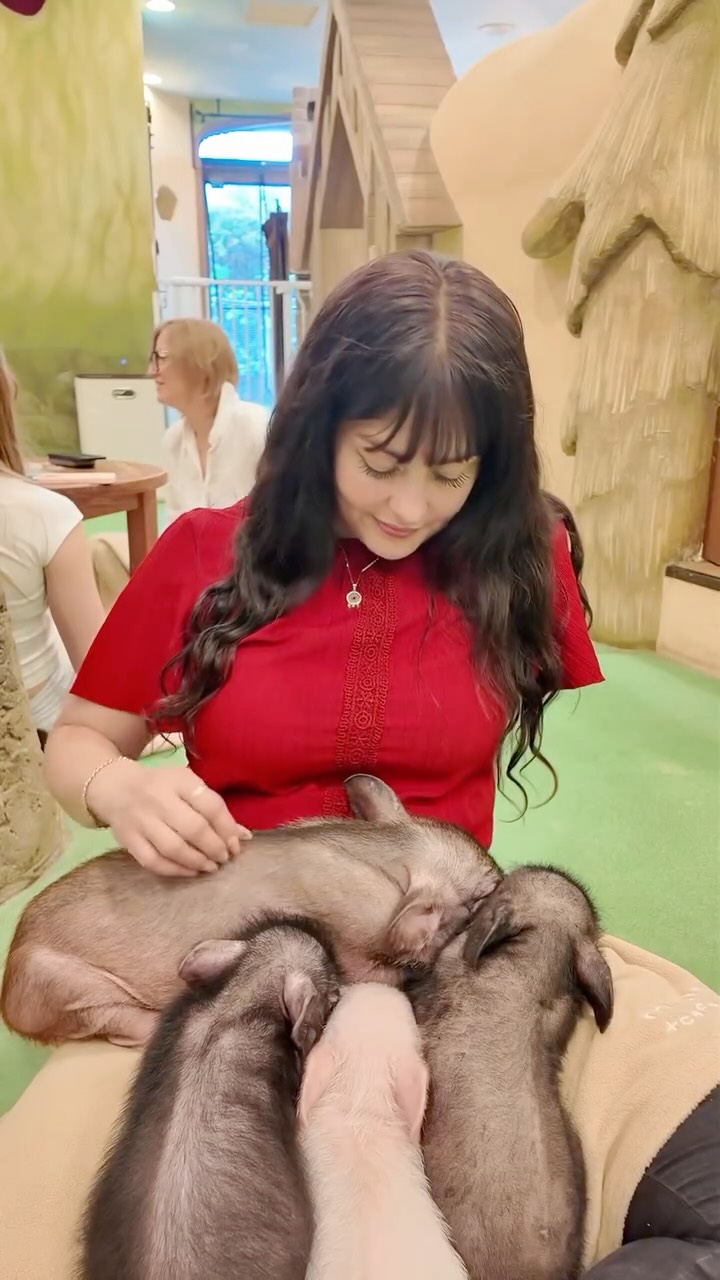 Pig Cafe in Harajuku