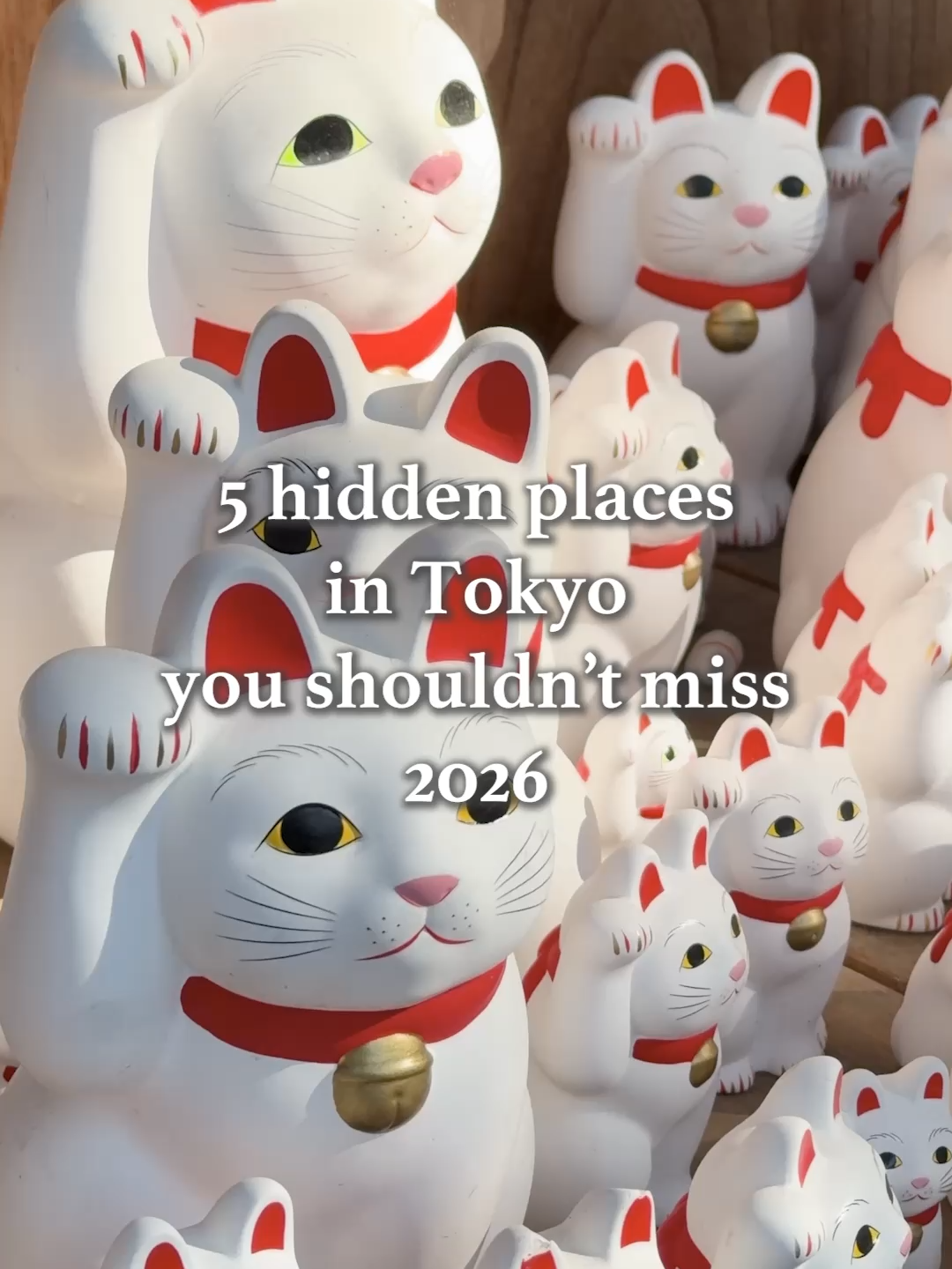 Tokyo's Hidden Gems and Stations