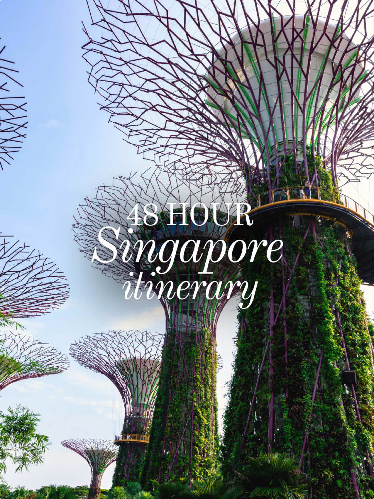 Luxury Singapore 48-Hour Itinerary on a Budget