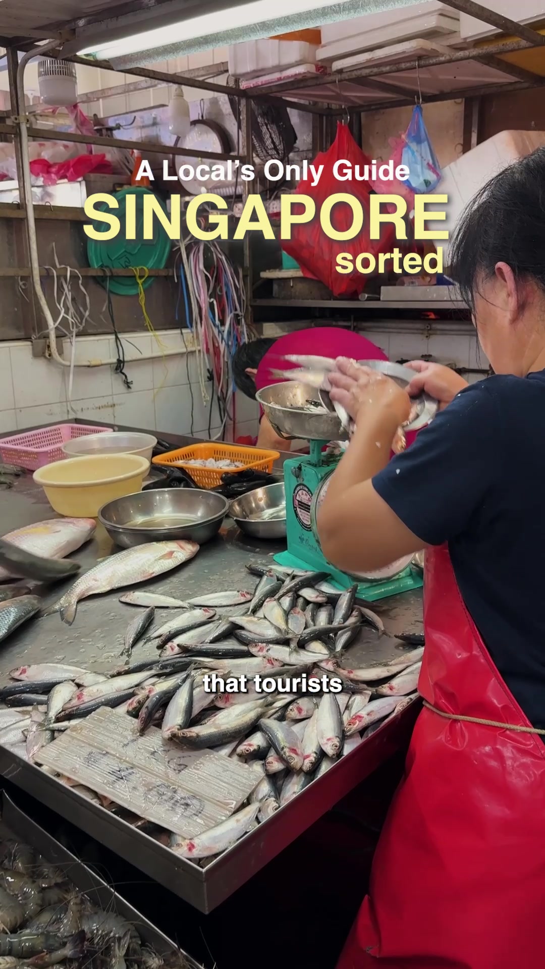 Local Singaporean Haunts: Markets, Food Centres, and Parks