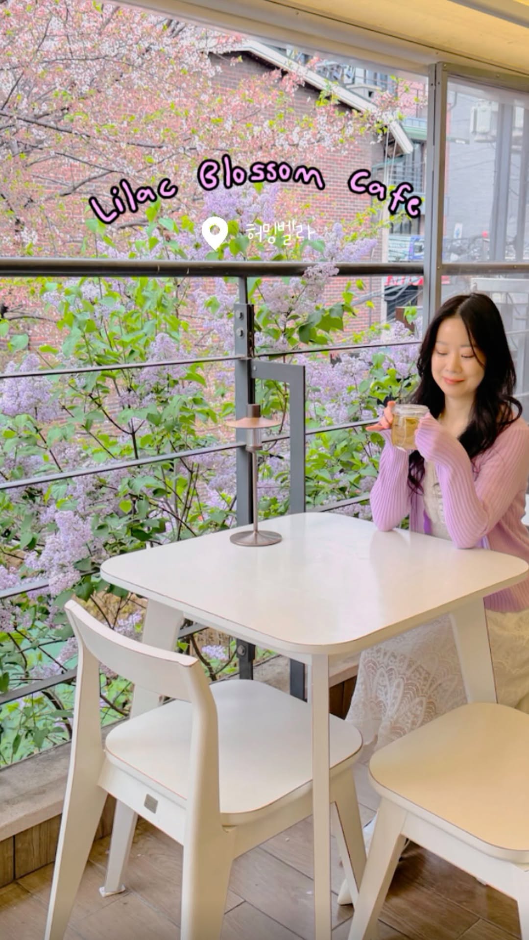 Humming Bella: Seoul's Lilac Bloom Cafe