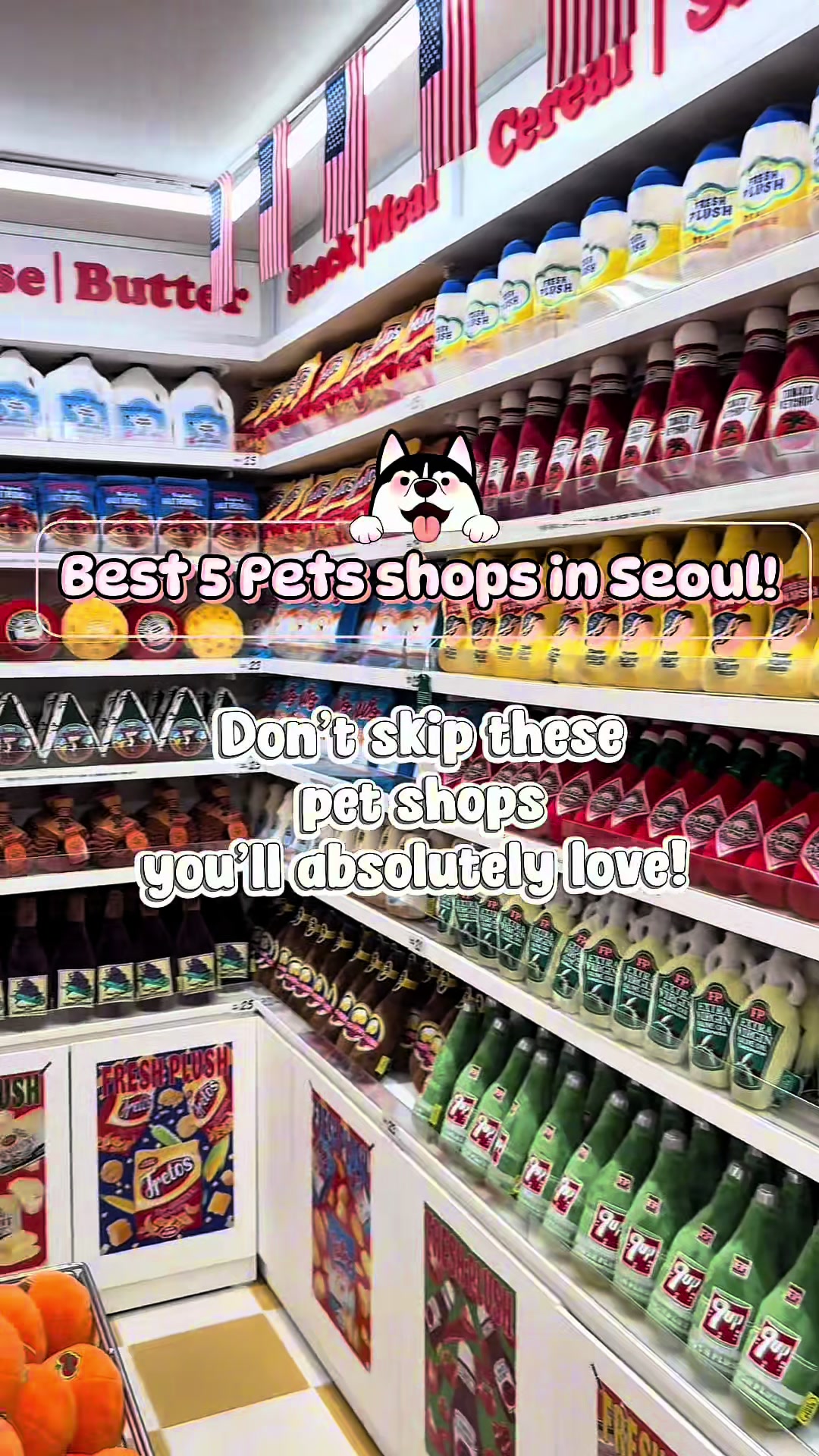 Seoul's Top Spots for Pet Supplies and Treats