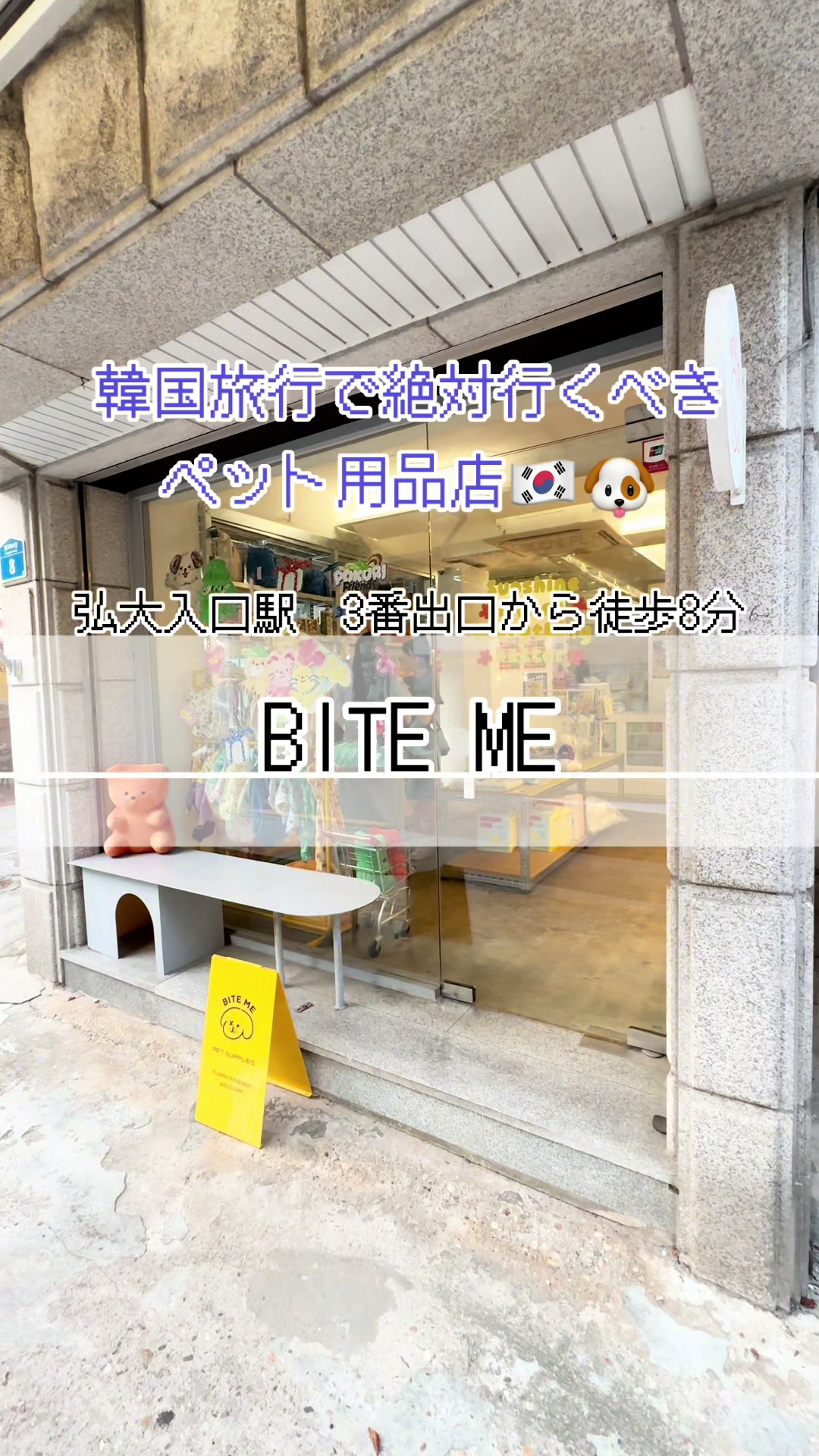 Pet Shops in Seoul with Locations