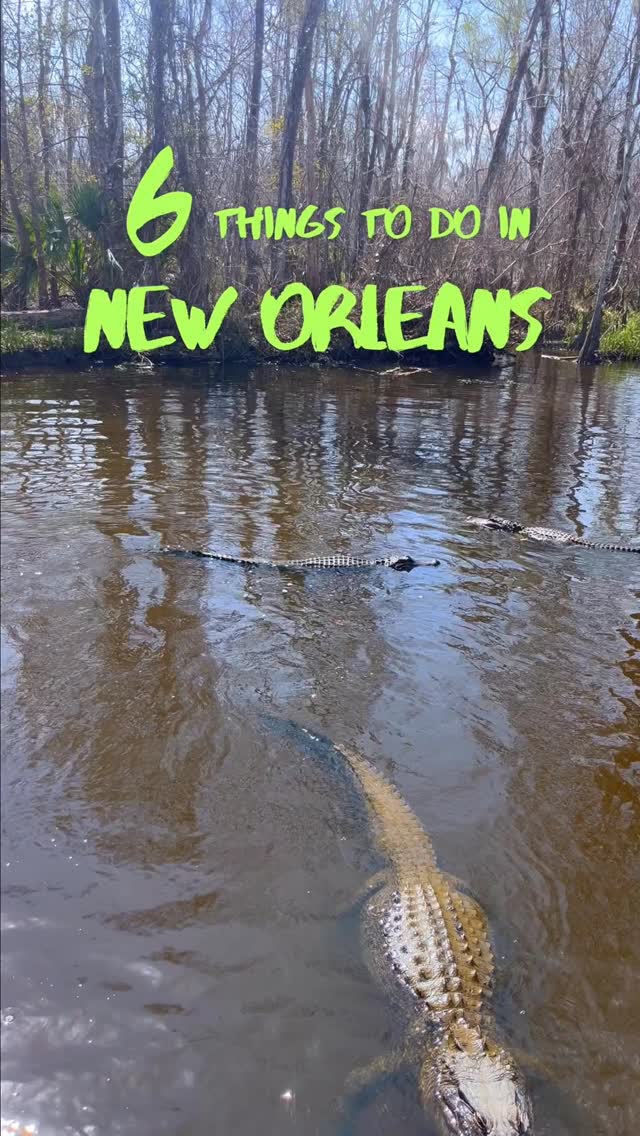 New Orleans Landmarks And Activities
