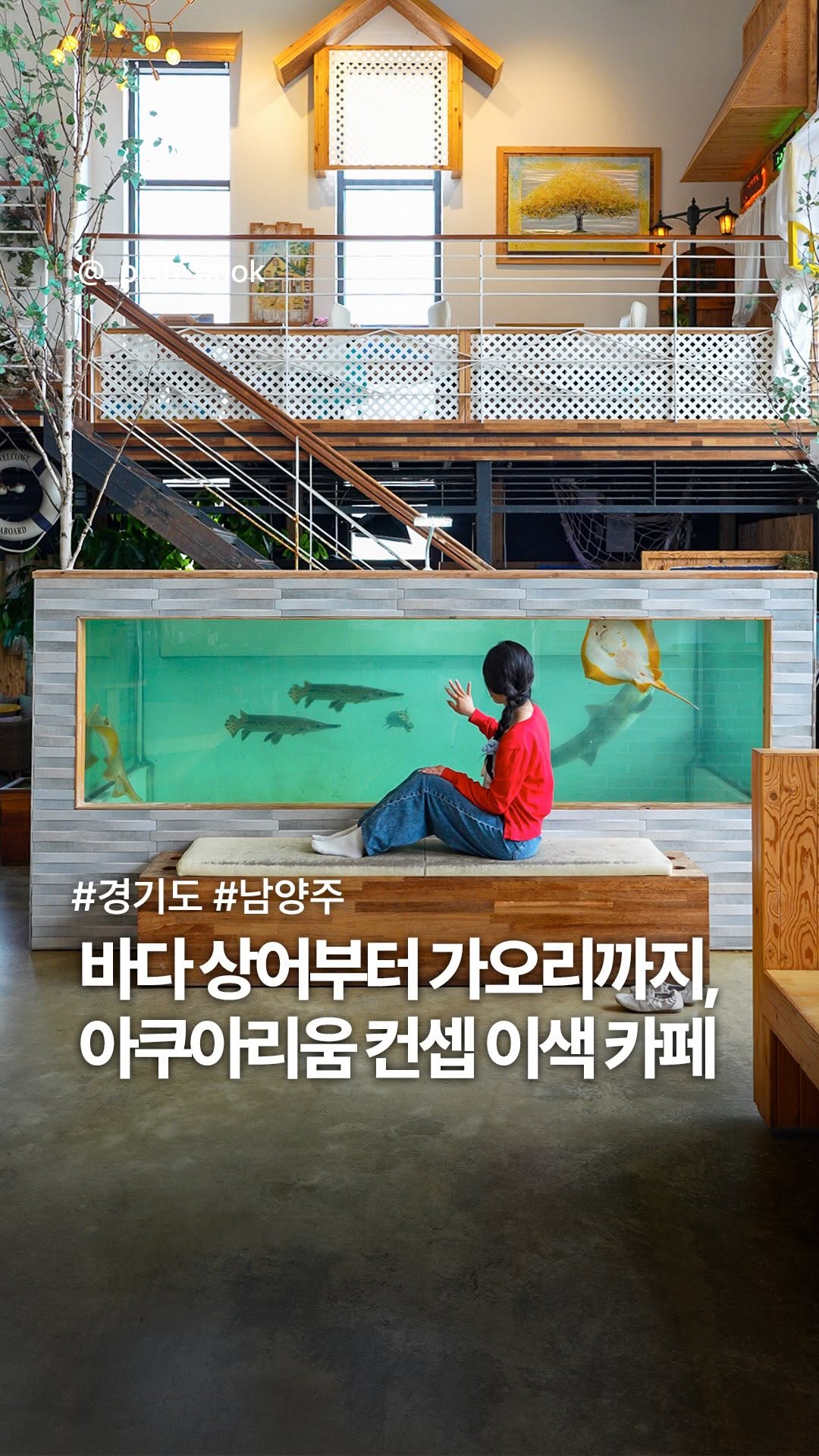 Aquarium Cafe Features Sharks, Rays, and Feeding Experiences