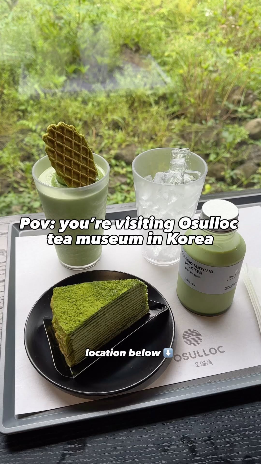 Osulloc Tea Museum: A Jeju Tea Lover's Destination