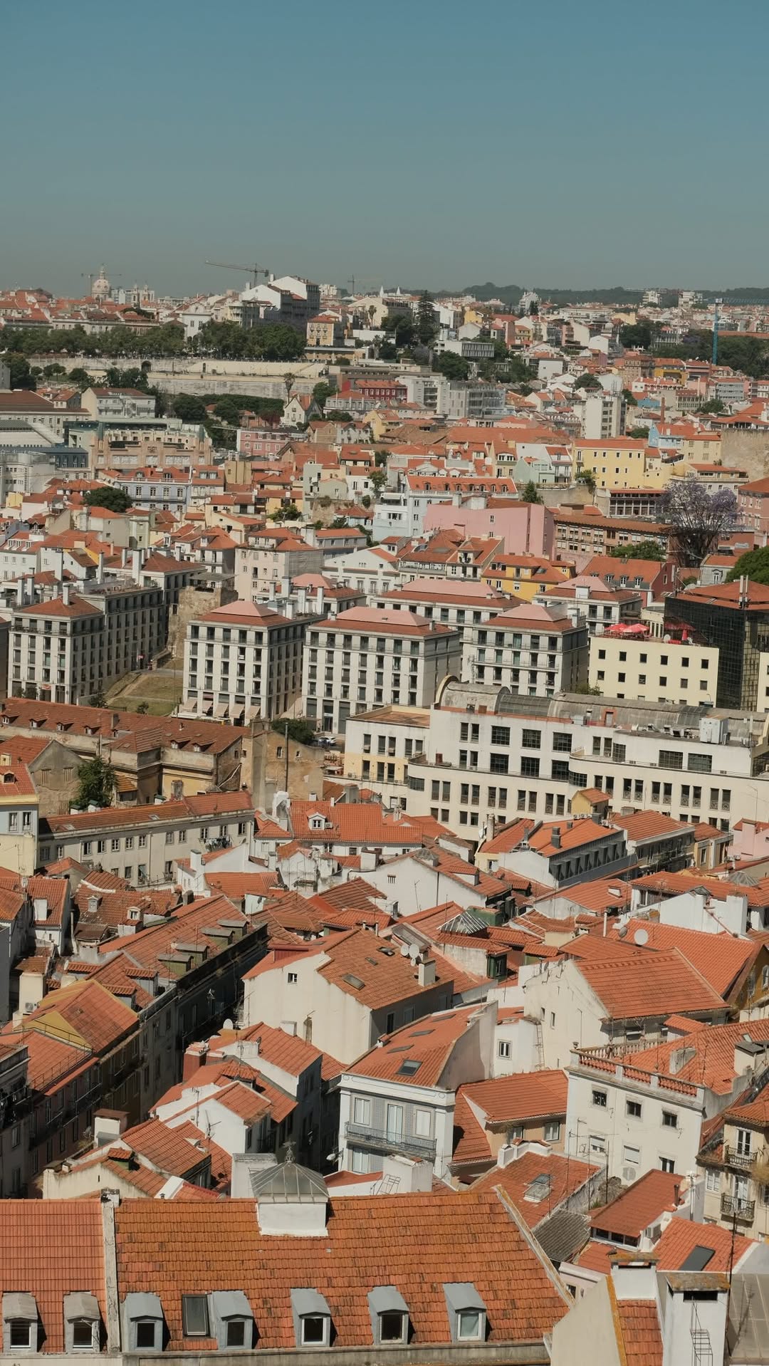 Lisbon's Seafood Delights: Cervejaria Ramiro