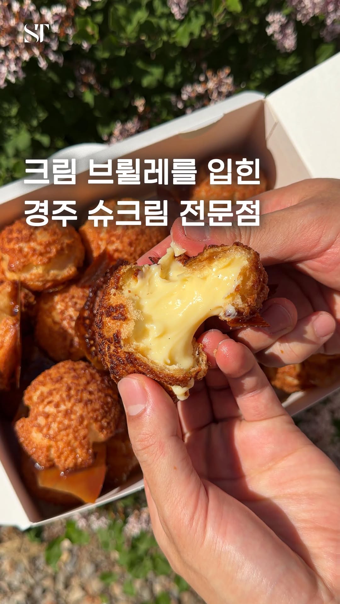 Crispy Cream Brulee Puffs in Gyeongju
