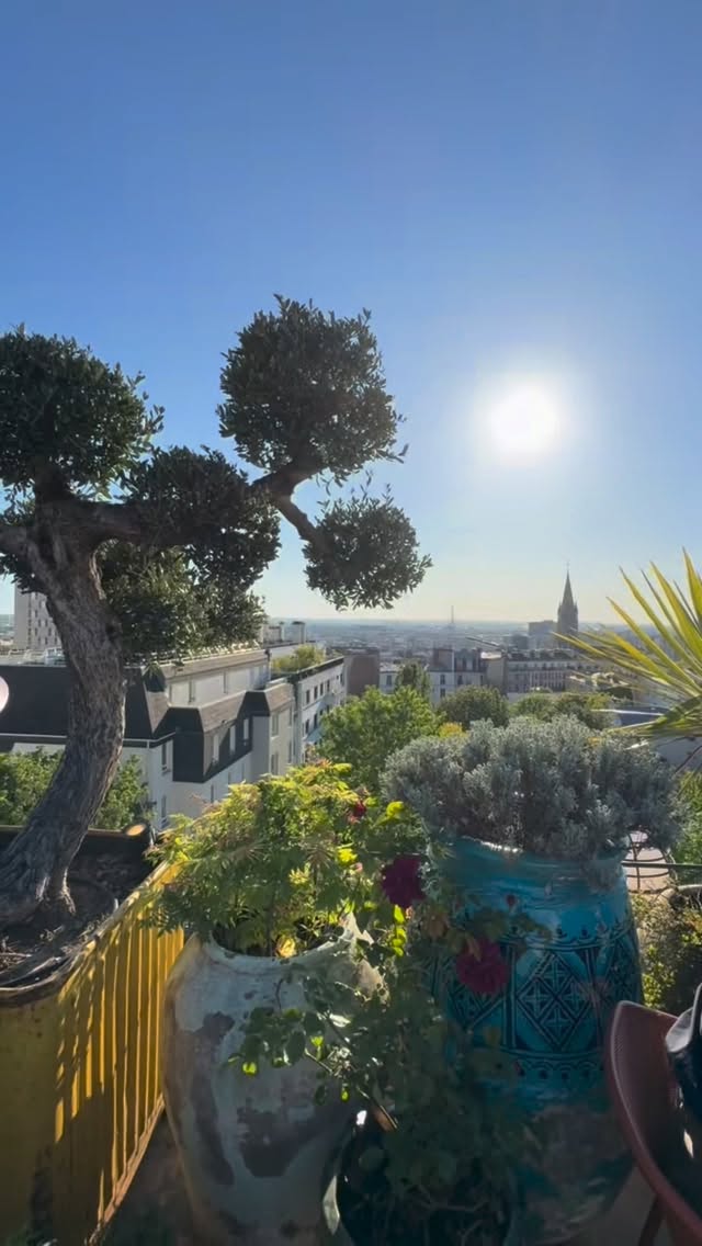 Paris Rooftop Bar Perfect for Sunny Days