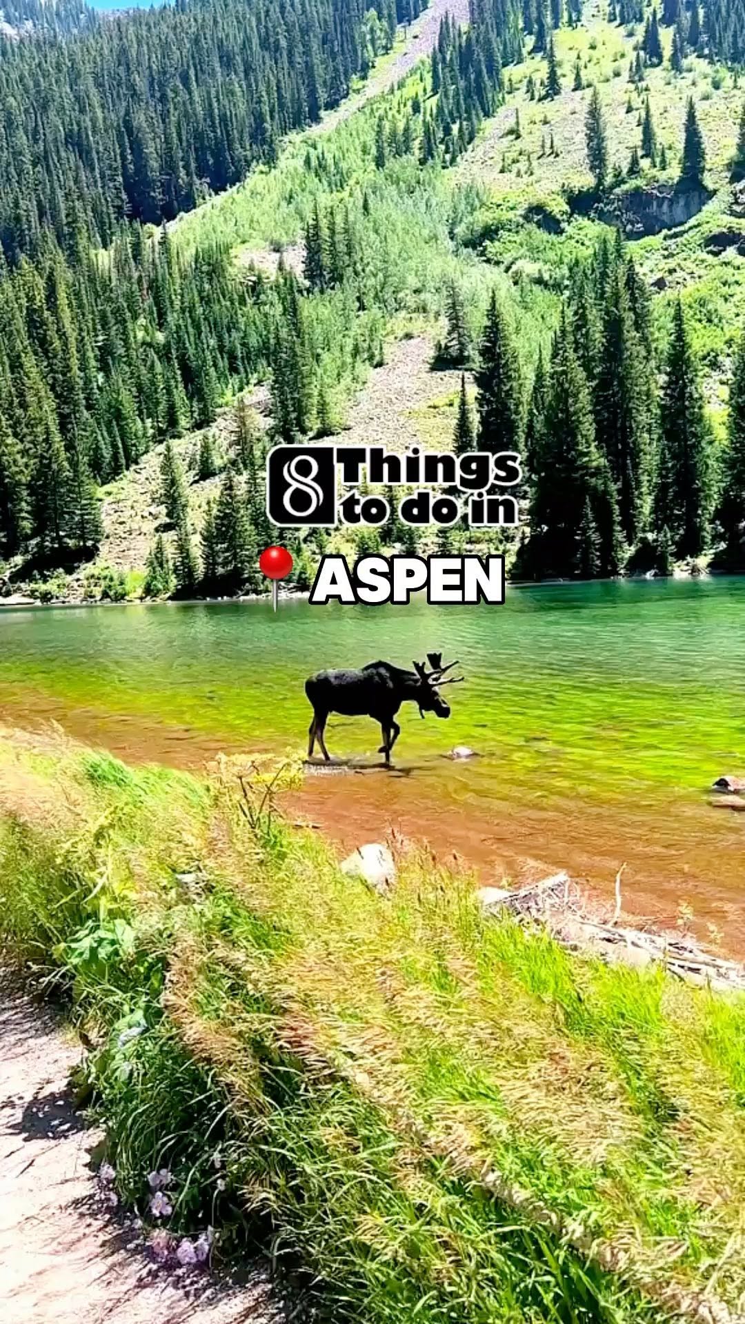 6 Places in Aspen