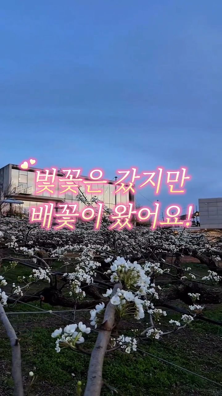 1 Cafes in Cheonan