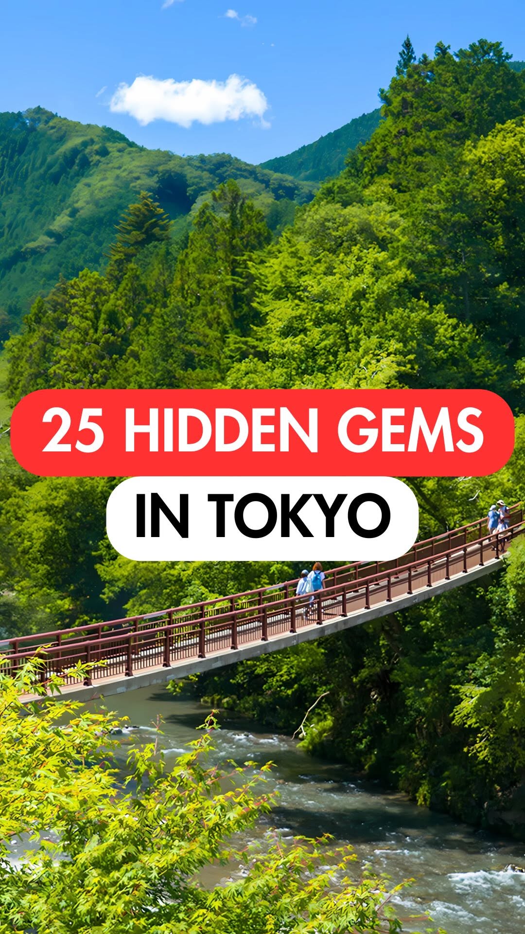 23 Attractions in Tokyo