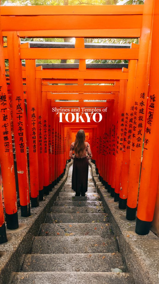 Tokyo's Sacred Sites and Bustling Streets