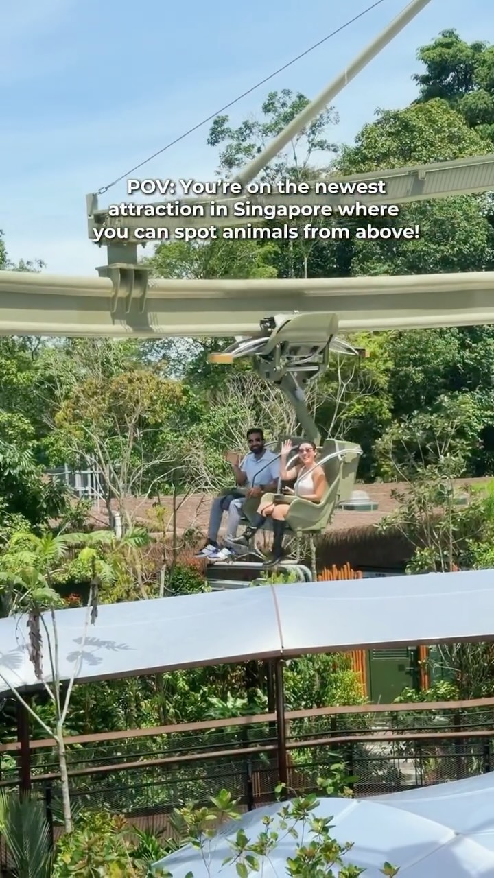 Singapore Canopy Glider Offers Unique Wildlife Views