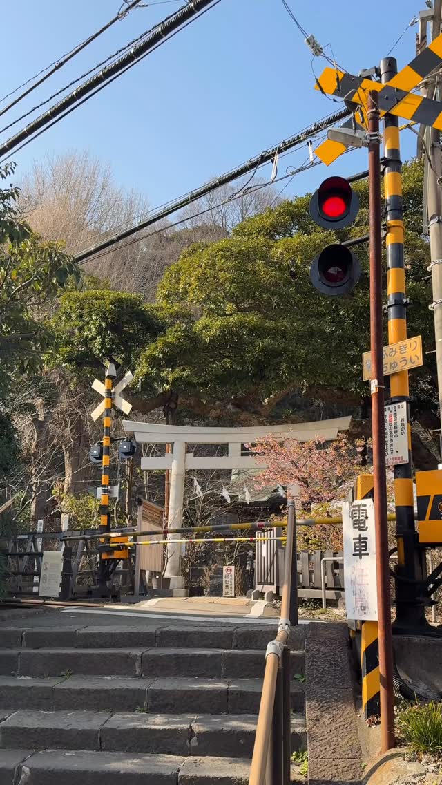 Kamakura Day Trip: Temples, Cafes, and Sweet Treats