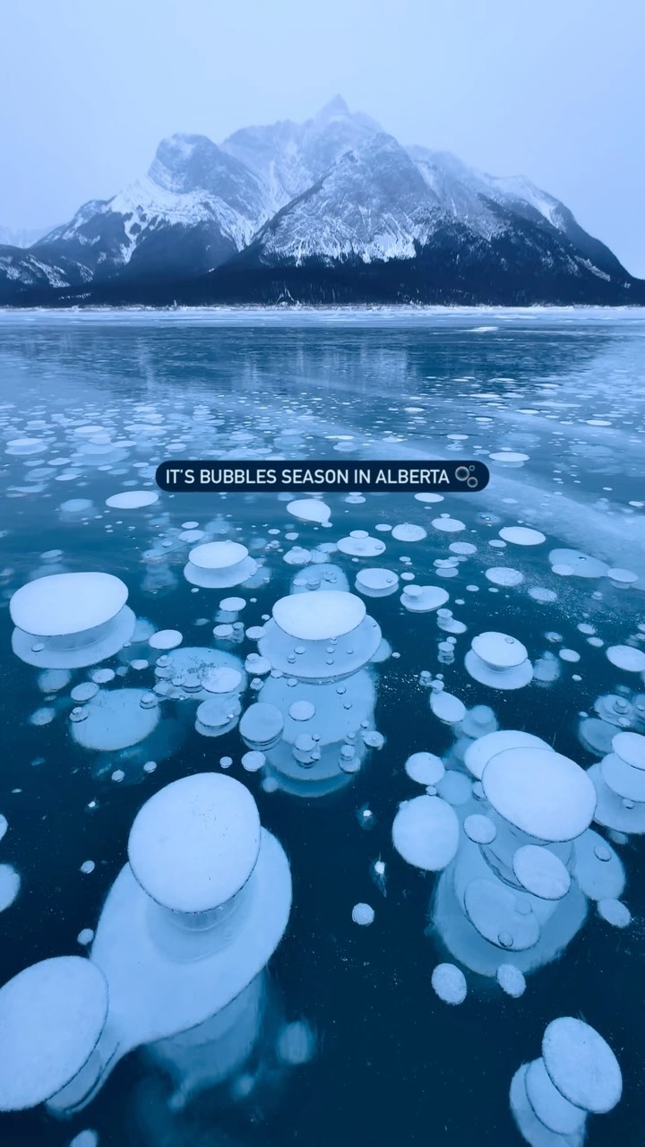 Nordegg and Abraham Lake Adventures
