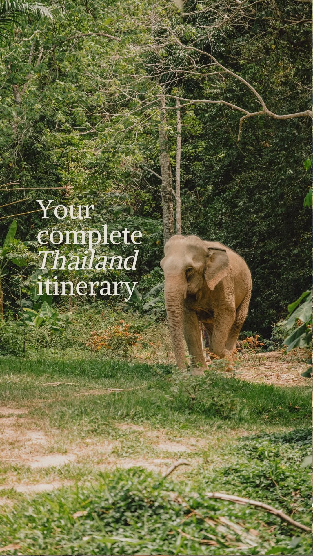 Thailand Itinerary: Bangkok, Khao Sok, Koh Lanta, Koh Lipe
