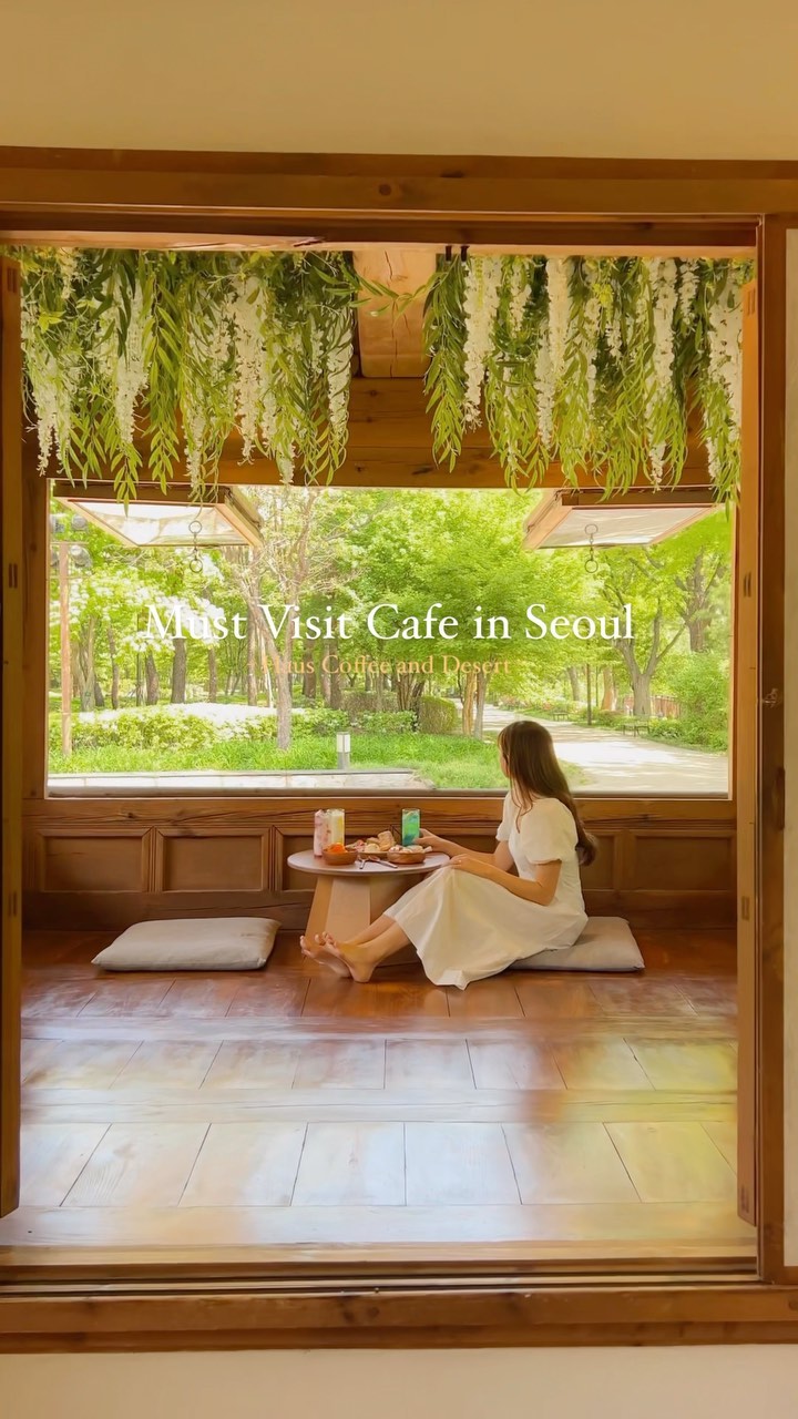 Seoul Cafes With Forest Views Near The Shilla