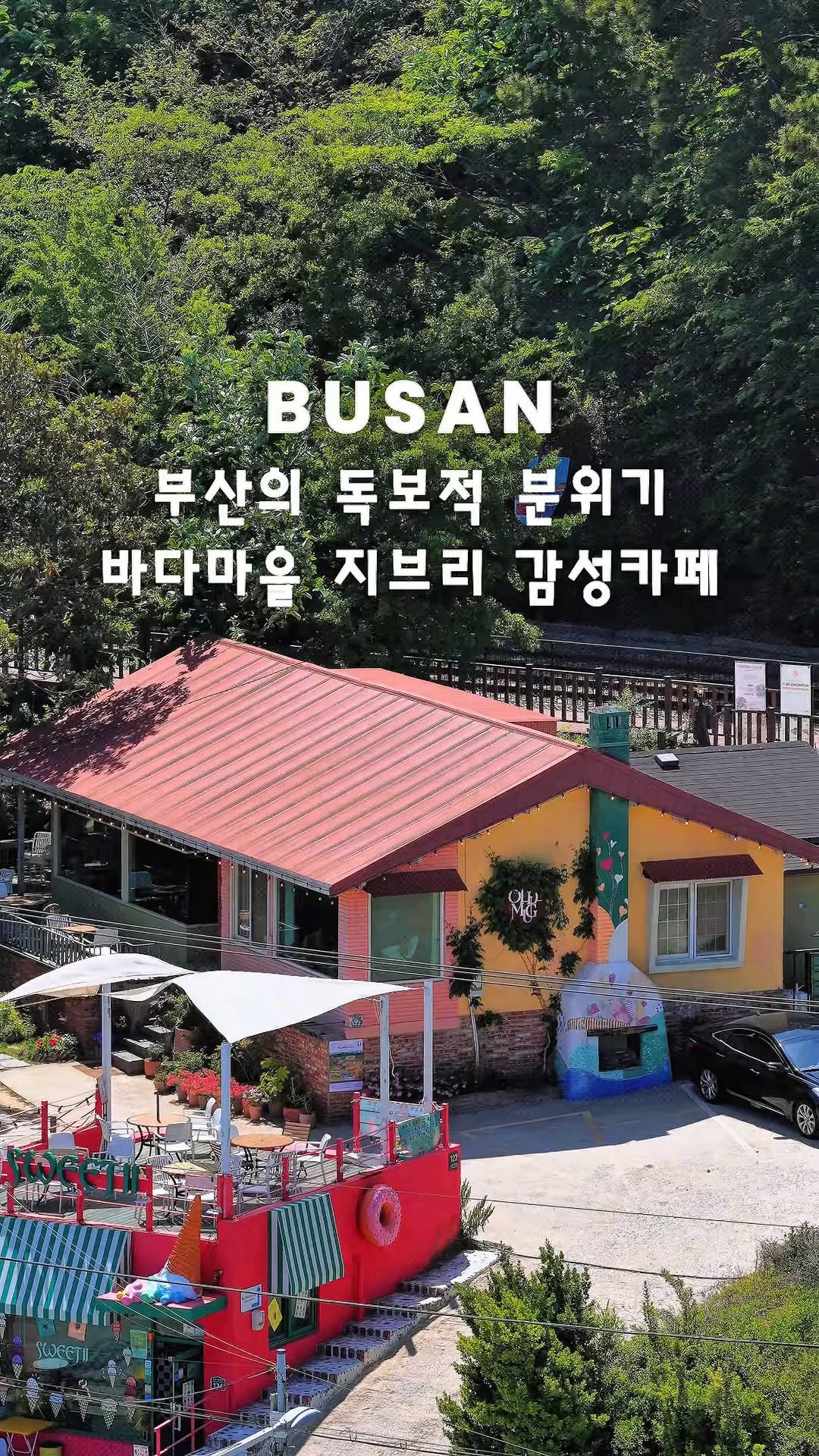 Seaside Cafe with Enchanted Forest Ambiance