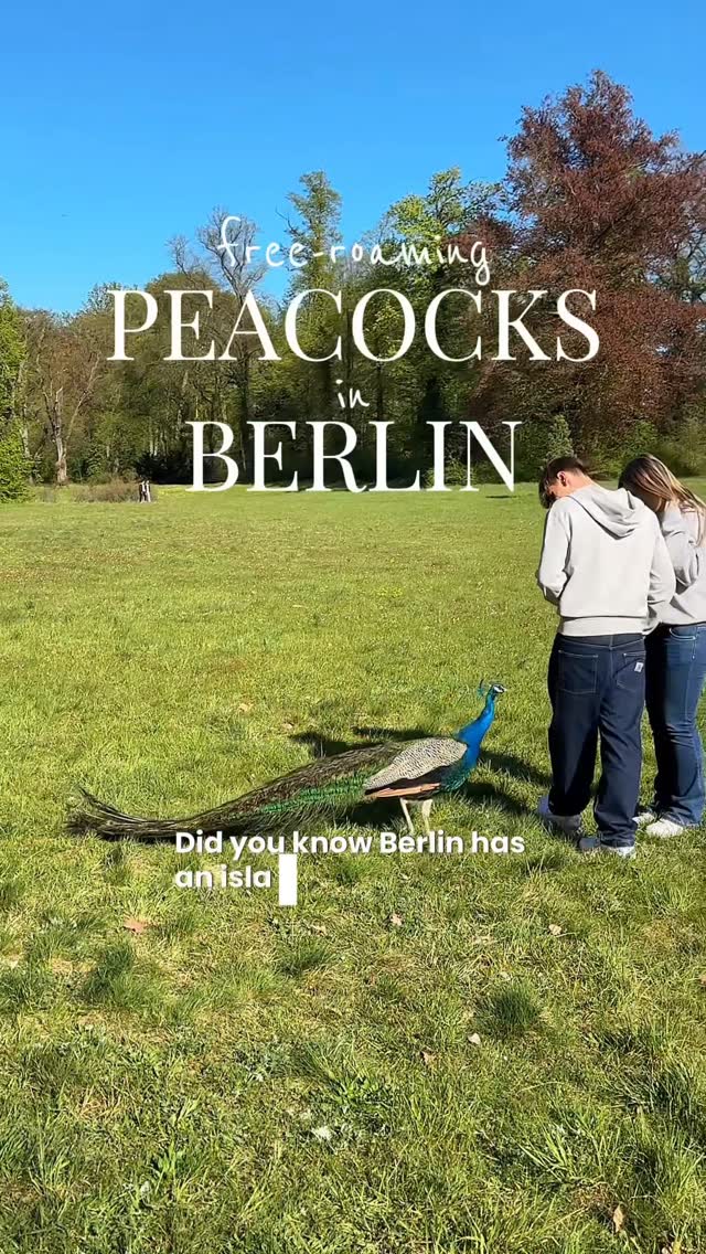 4 Landmarks in Berlin