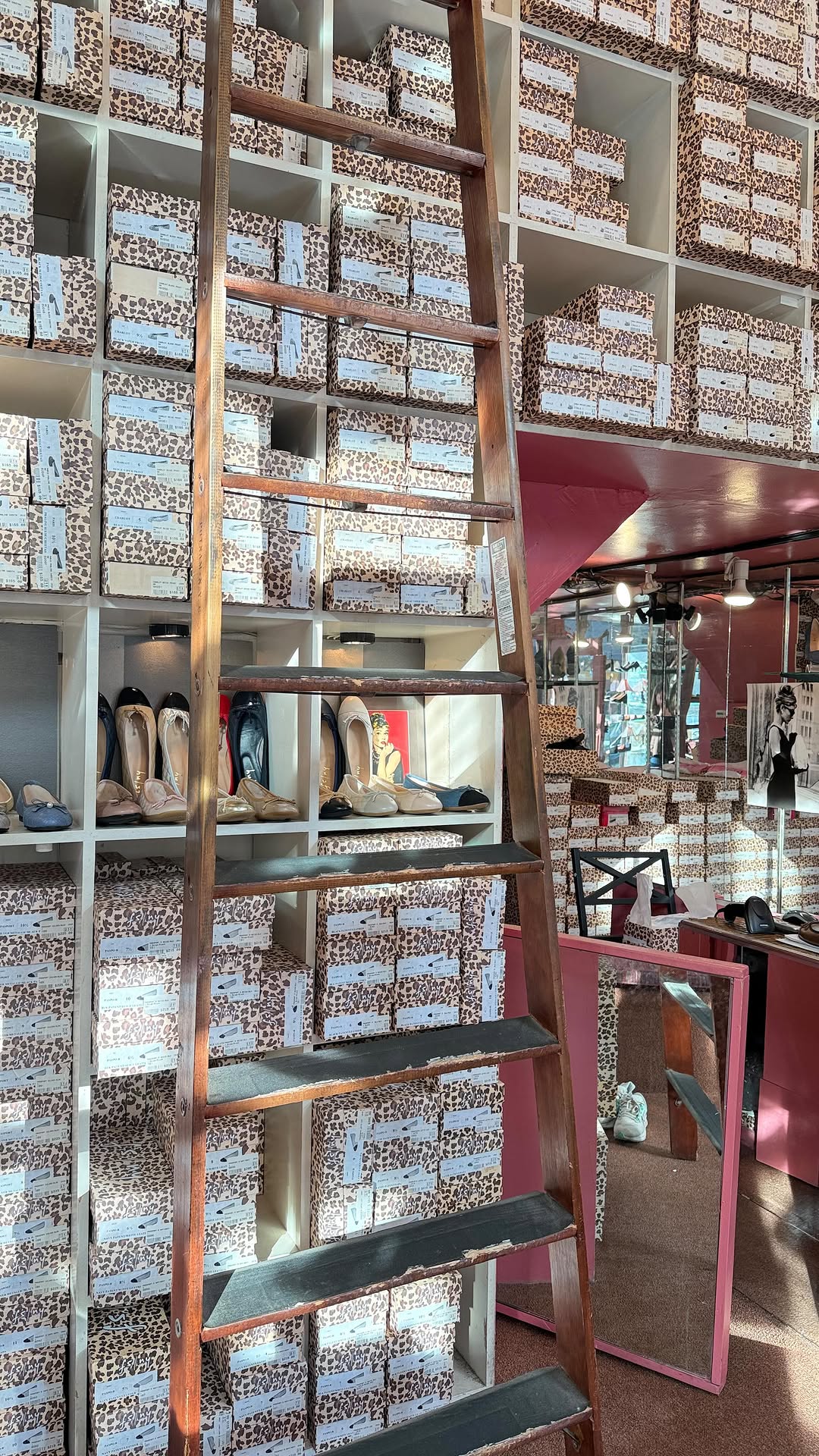 French Sole's Shoe Selection