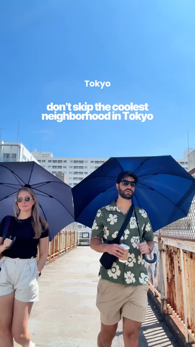 Daikanyama's Top Spots: Food, Drinks, and Culture
