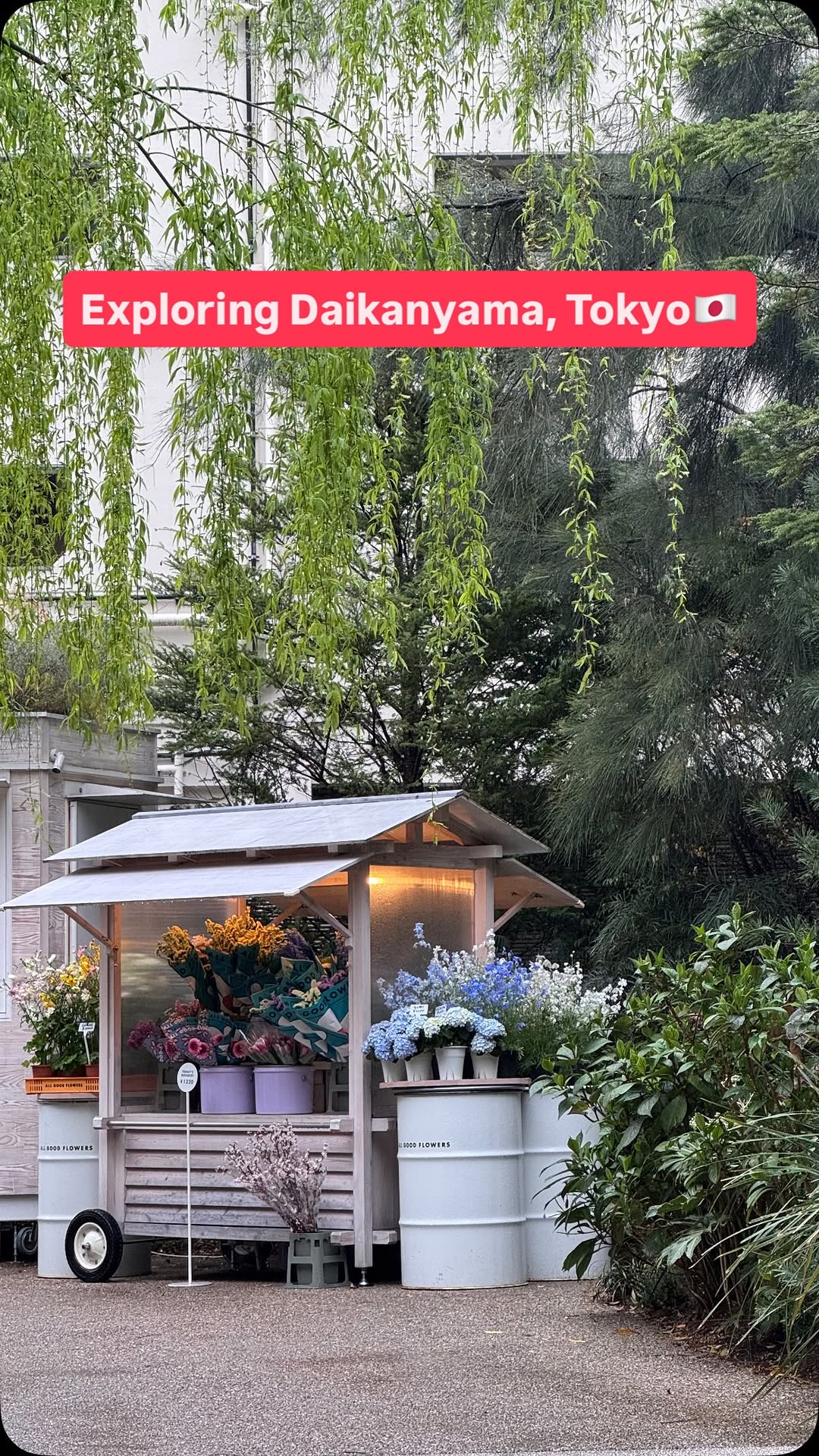 Daikanyama Exploration: Cafes, Bookstores, and Shops