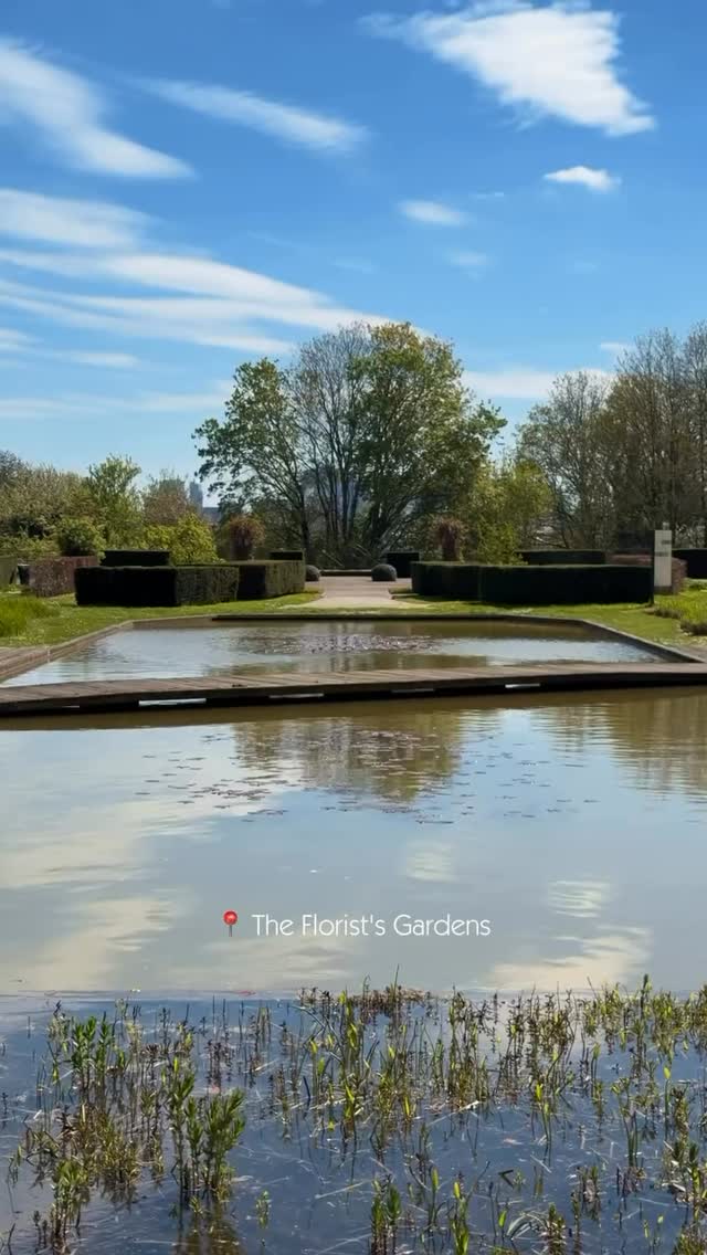 Brussels' Hidden Gems: Parks, Gardens, and Unique Spots