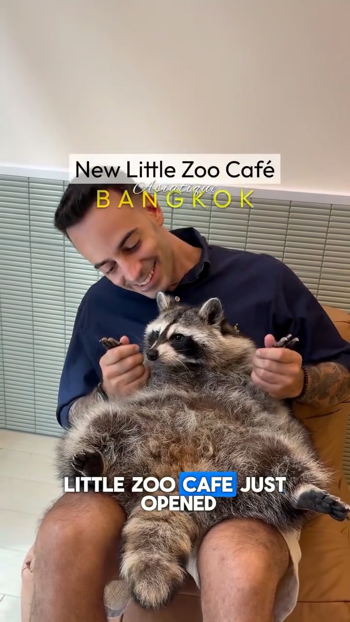 New Animal Encounters at Asiatique Bangkok