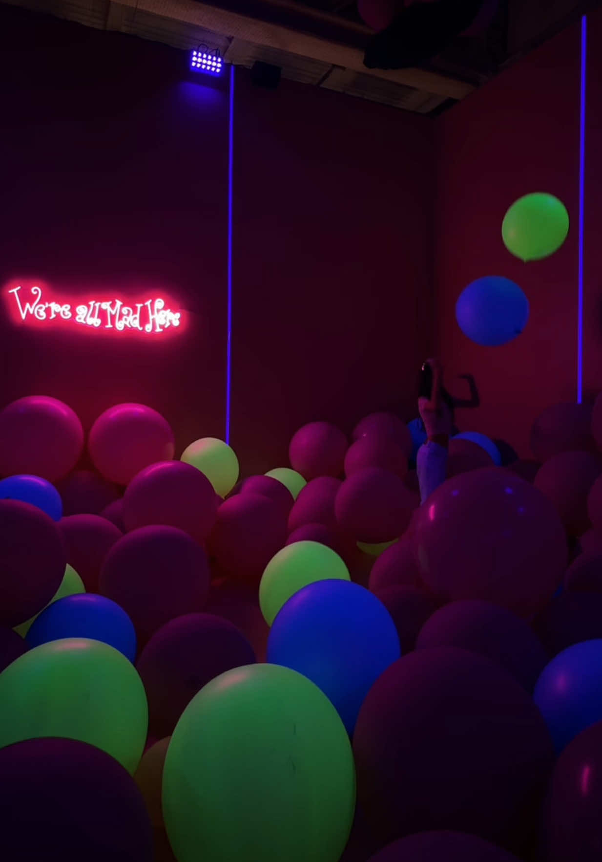 Dream Point Experience: An Immersive Journey