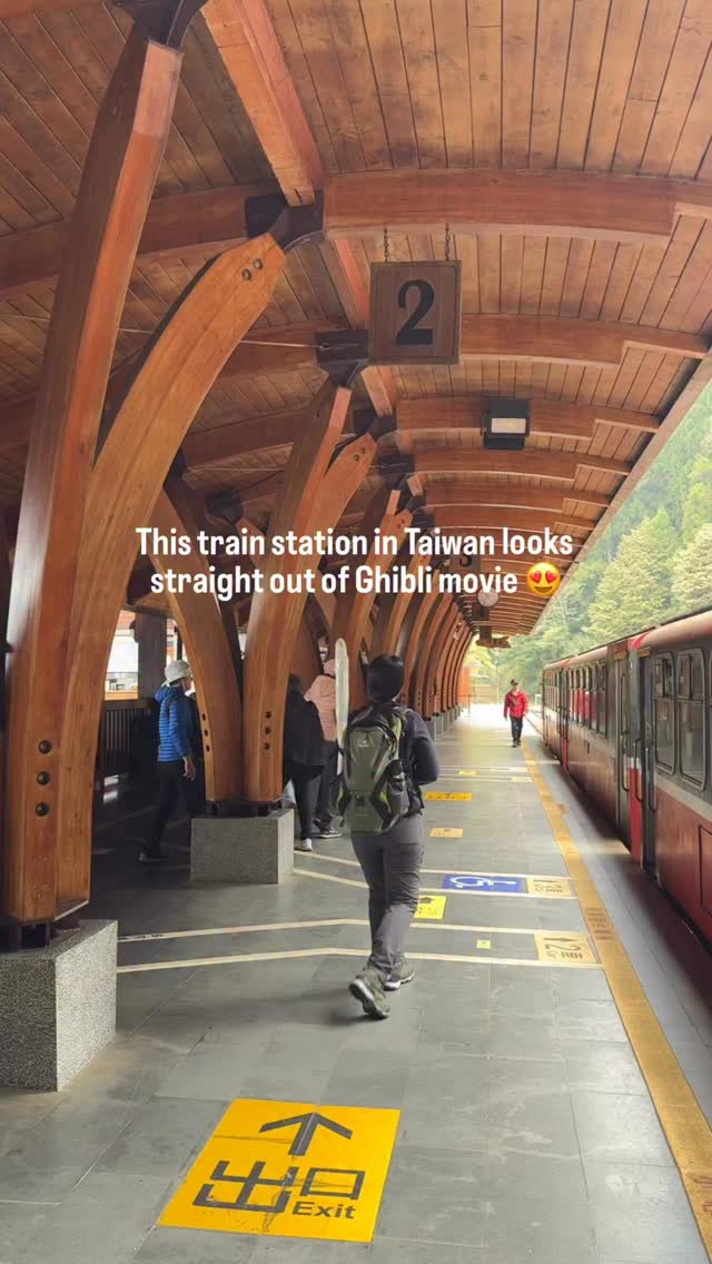 Taiwan's Alishan Forest Railway And Cherry Blossoms
