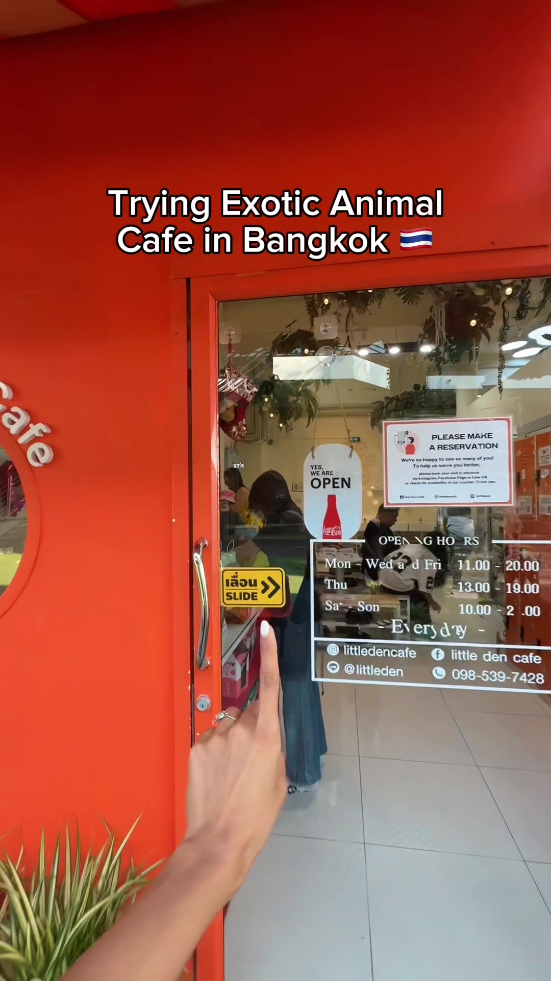 Little Den Cafe Features Well-Cared-For Animals