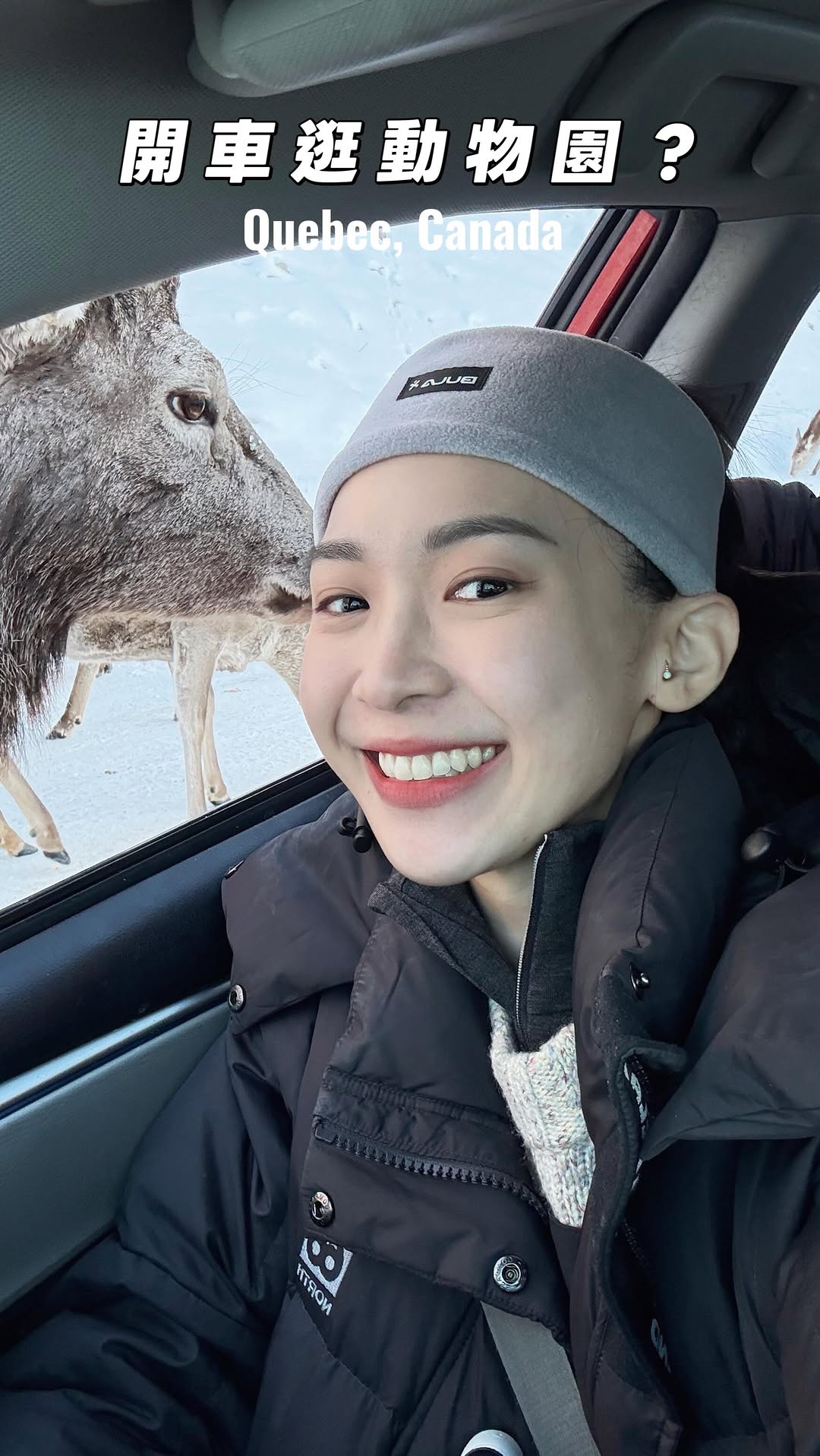 Driving Tour Through Canadian Wildlife Parks