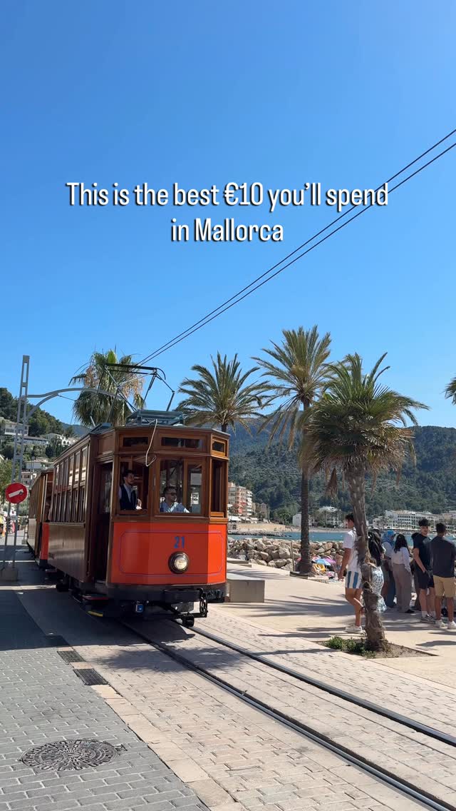 Scenic Tram Ride Through Mallorca's Orange Groves