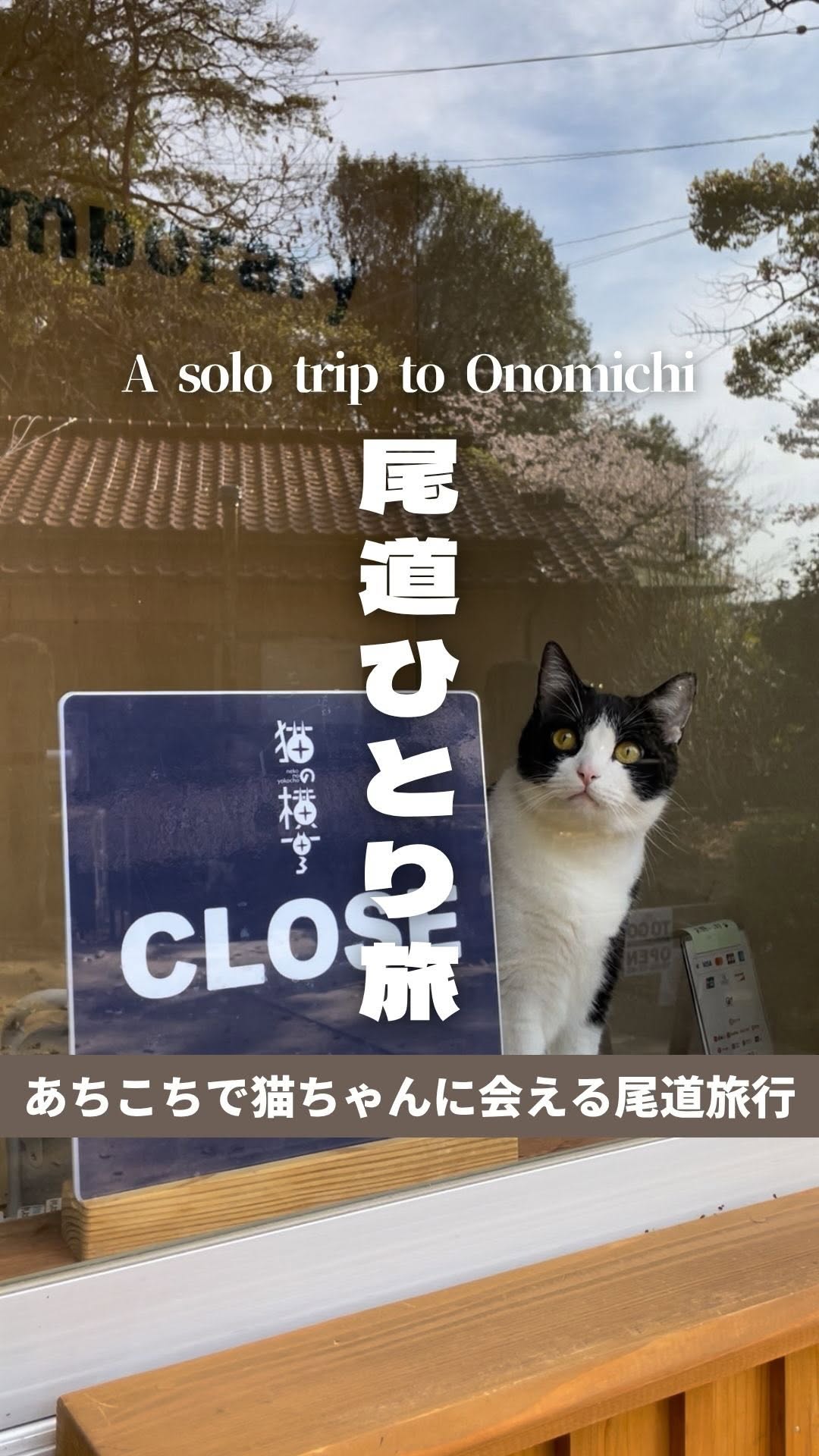 11 Places in Onomichi