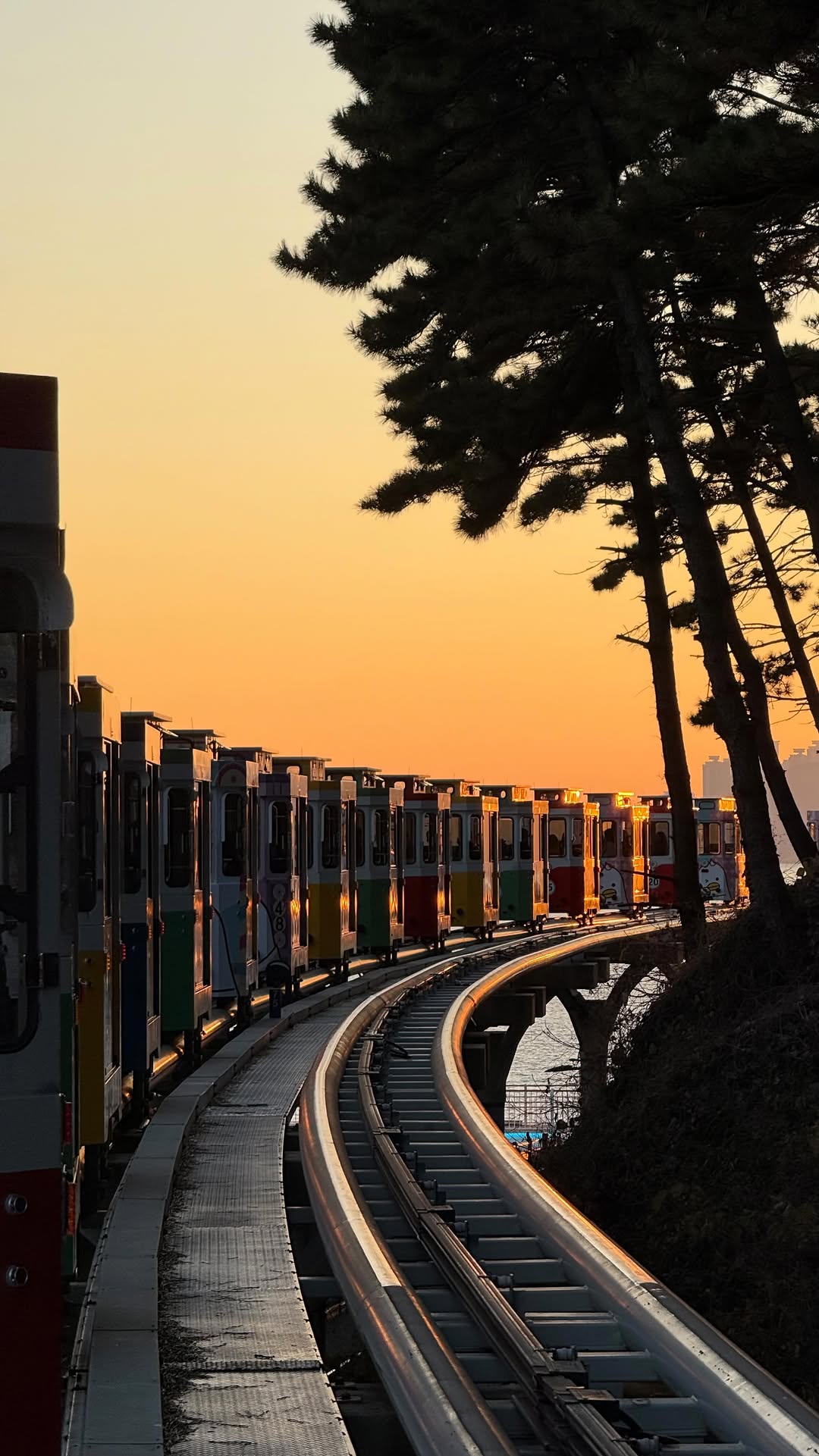 Busan Coastal Train Journey Offers Scenic Views