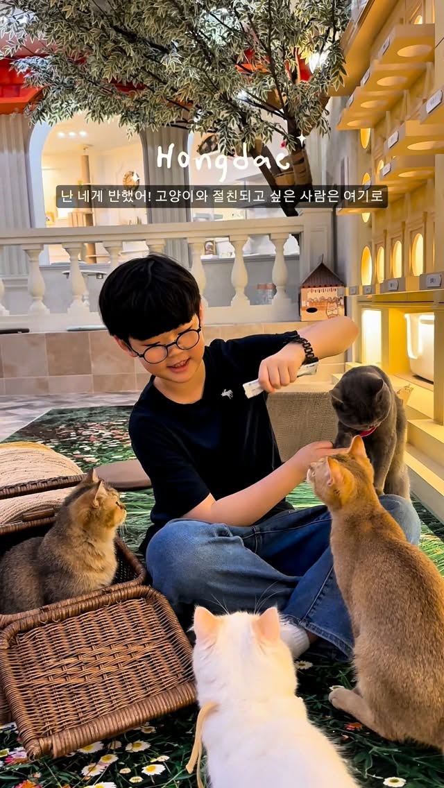 2 Cafes in Seoul