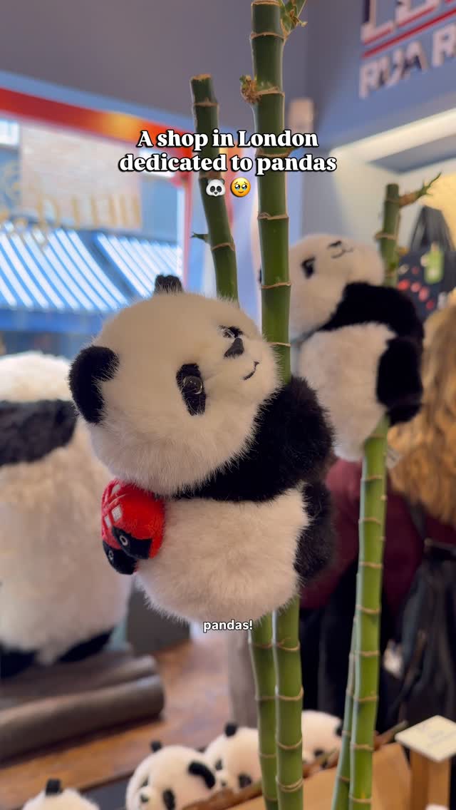 Panda Shop and London Destinations