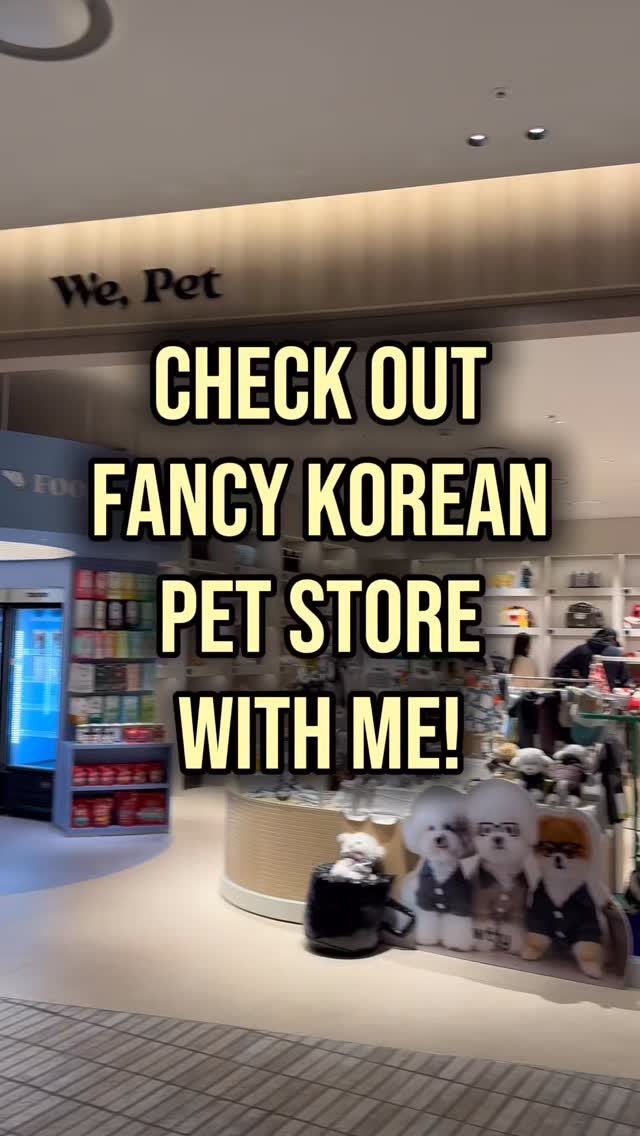 Pet-Friendly Mall Features In Seoul