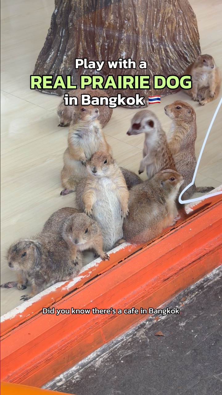 3 Shops in Krung Thep Maha Nakhon