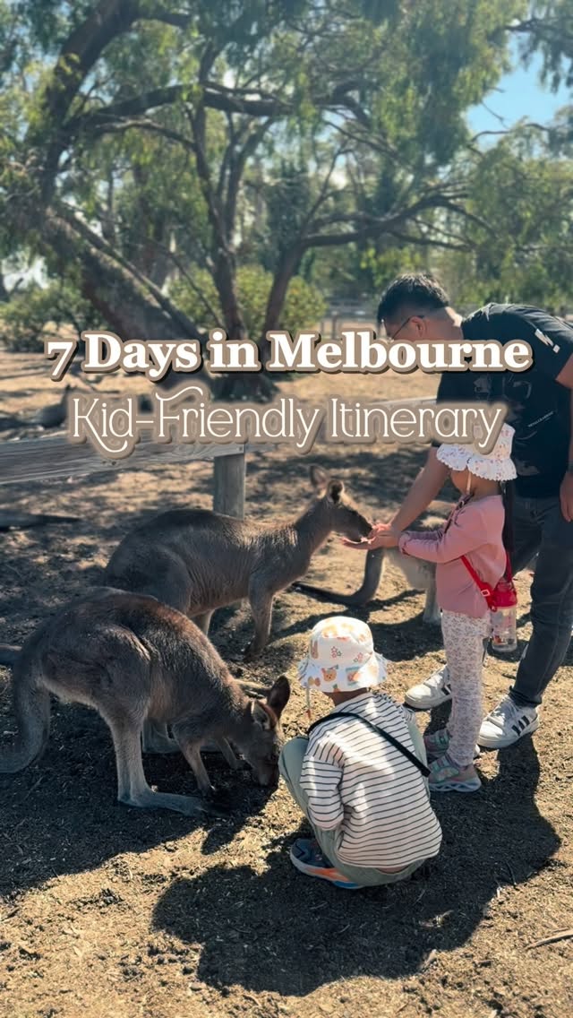 Melbourne Family Adventures: Farms, Wildlife, and Fun