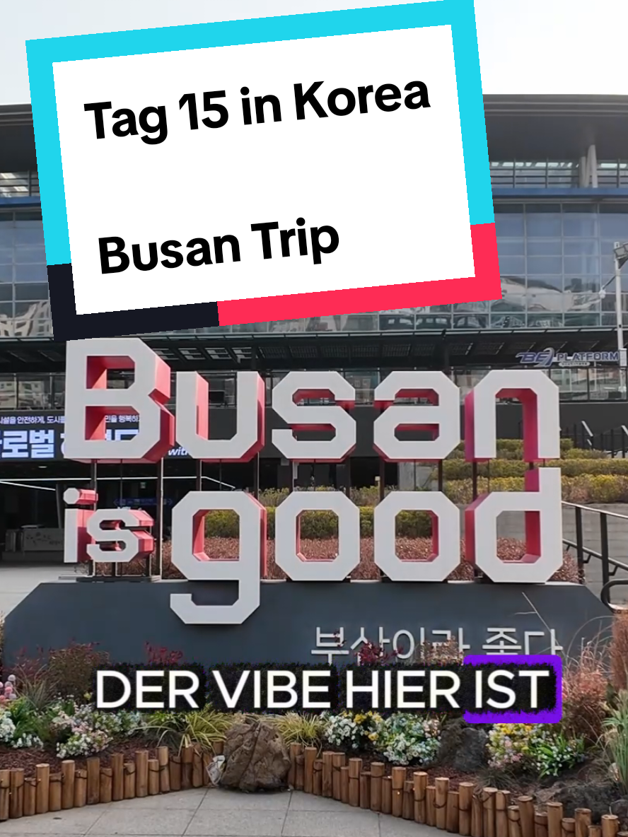 Busan's Scenic Views And Beachside Cafés