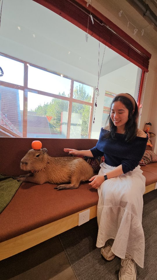 Shanghai's Capybara Cafe Experience