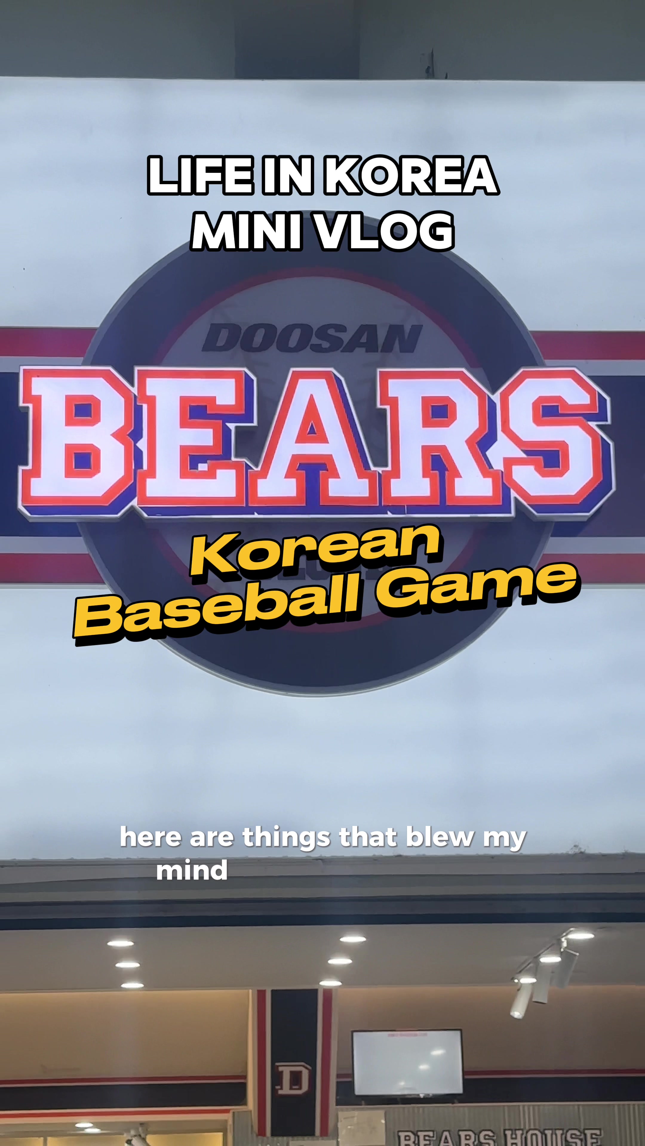 Korean Baseball Stadium Experience