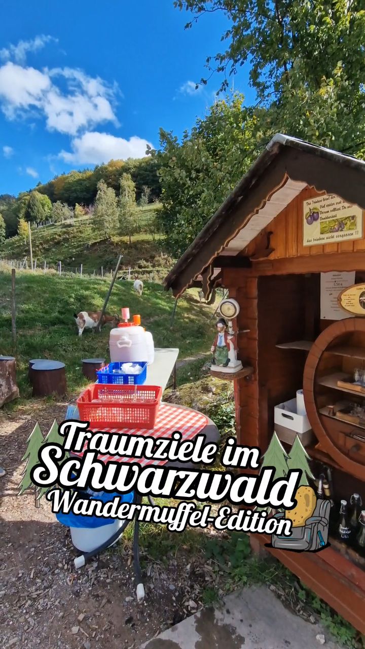 Black Forest Hikes With Nature's Bounty