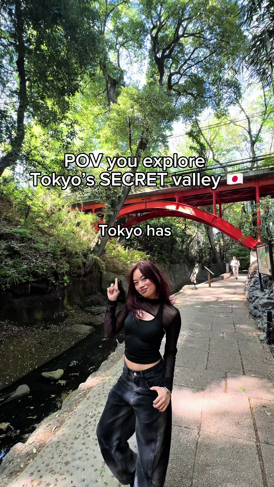 Tokyo's Hidden Gems: Temples, Parks, and Pizza