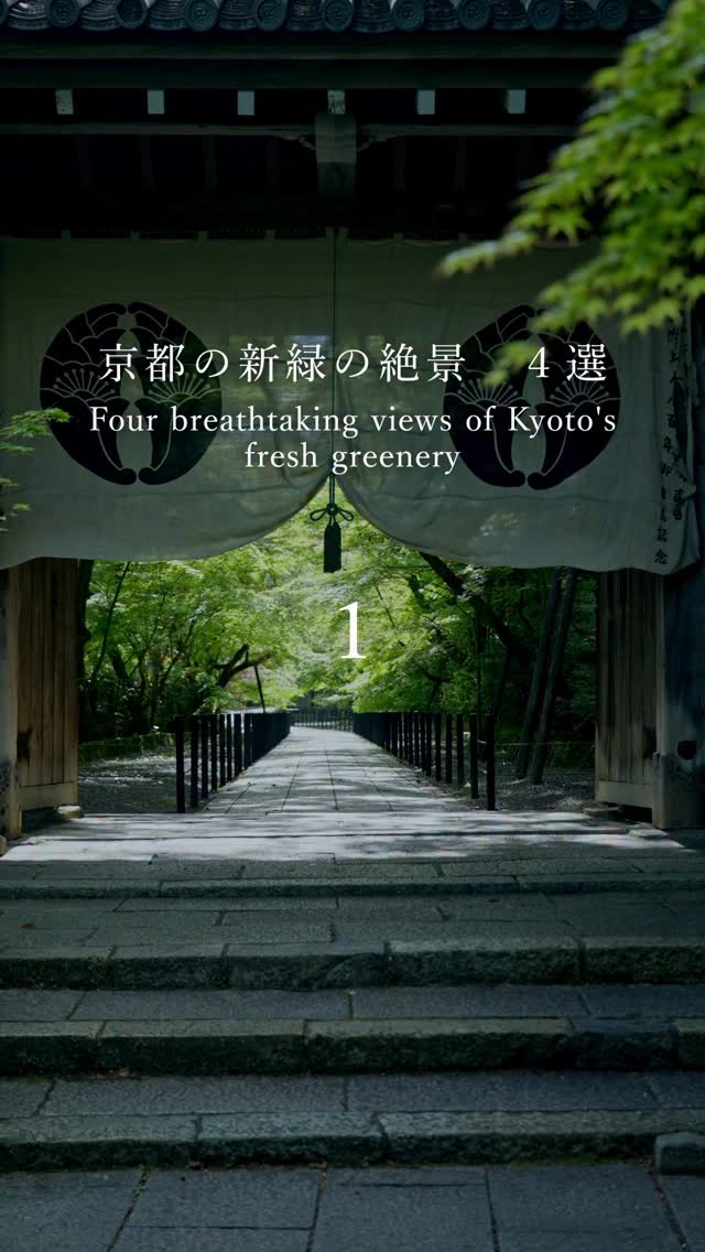 Kyoto's Serene Fresh Green Scenery